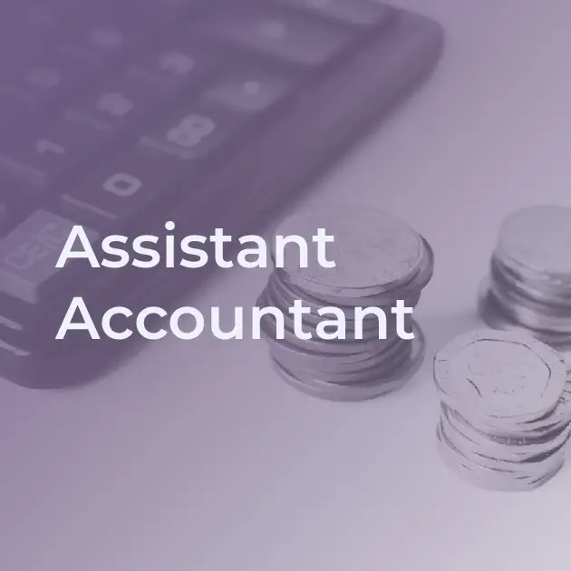 Professional Assistant Accountant Training