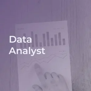 Data Analyst
