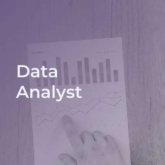 Data Analyst