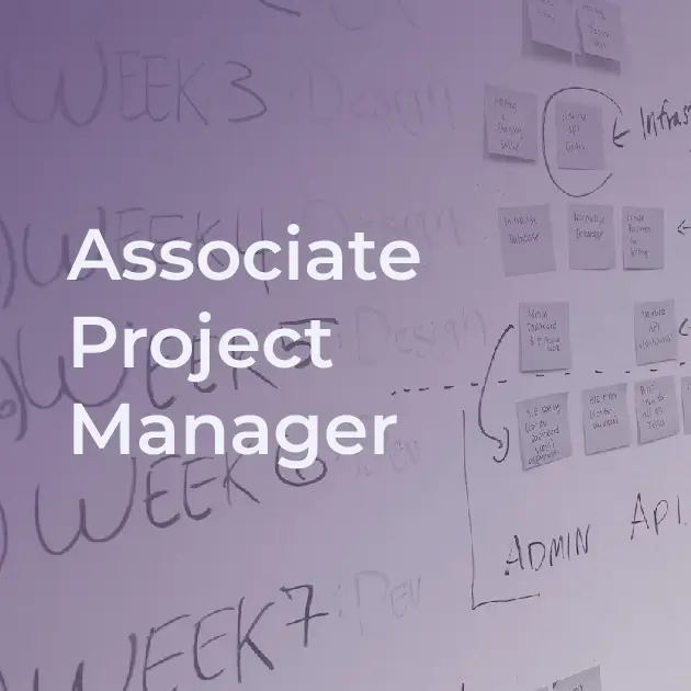 Associate Project Manager